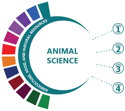 Animal Science 